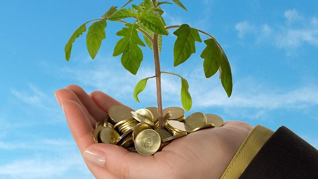 Баяжих мөнгөжих хар домын аргууд